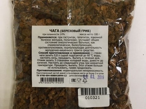 Чага (березовый гриб)